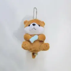 江ノ島水族館 カワウソ ぬいぐるみ キーホルダー ストラップ