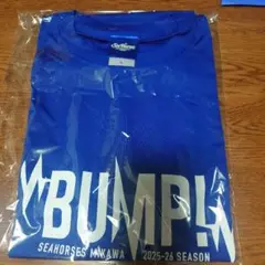 SEAHORSES MIKAWA 2025-26SEASON Ｔシャツ Lサイズ