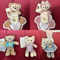 ディズニー ダッフィーフレンズ ぬいぐるみバッジ