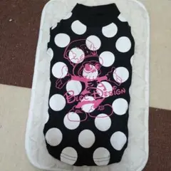 Item thumbnail for item 405a1110-8ce8-4896-bd06-35dbf2394c0e