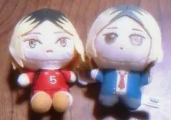 ハイキュー!! ぬいぐるみ 2体セット、アクリルボード2点、ブロマイド1点