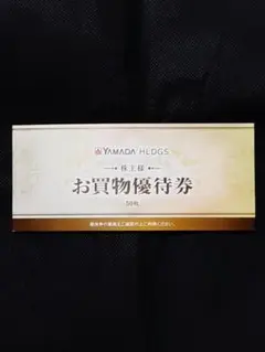 ヤマダ電機 株主優待券 25,000円分