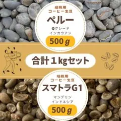 コロンビア生豆1kg ブエノスアイレス農園 スーダン・ルメ サーマル