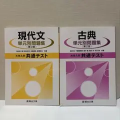 現代文単元別問題集 古典単元別問題集 2冊セット 駿台文庫