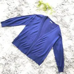 CINEMA CLUB【L】青 カーディガン 長袖 春 羽織り Vネック 爽やか