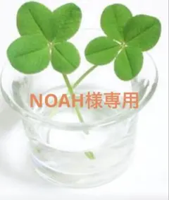 NOAH様専用のサムネイル