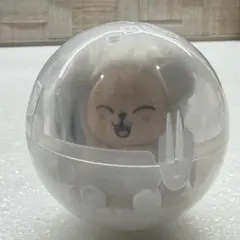 SKZOO ガチャガチャ ライトマスコット パピーム PuppyMスンミン