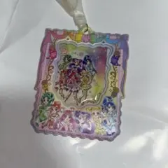プリキュア カードホルダー Yes！プリキュア５GoGo！ 集合