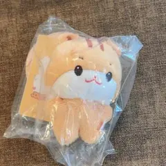 超特急 カイ 生誕ぬいぐるみ カカ - メルカリ