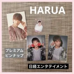 &TEAM HARUA 日経エンタテイメント ピンナップ➕シール