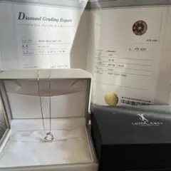 中央宝石研究所鑑定付　FANCY DEEP PINK 0.125CTネックレス