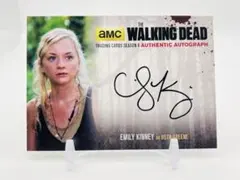 レア 2016 WALKING DEAD 直筆サイン Beth Greene