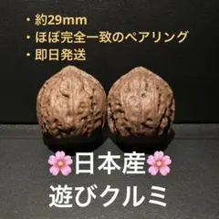 2026年最新】文玩核桃の人気アイテム - メルカリ
