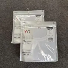 新品 GUNZE YG クルーネックTシャツ M ホワイト 2枚セット