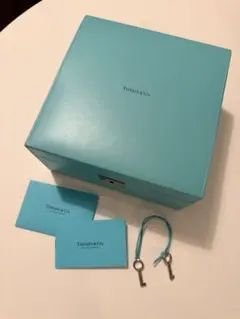 【Tiffany ティファニー】廃盤 レア アクセサリーケース レザー Tiffany & Co. - 値下げ【Tiffany ティファニー】レア アクセサリー