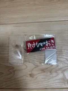 五百城茉央 乃木坂46 ヴィッセル神戸 30周年記念 キーホルダー