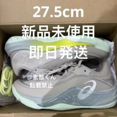 27.5 ASICS ballaholic　UNPRE ARS LOW 3