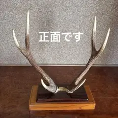 2026年最新】鹿の角 インテリアの人気アイテム - メルカリ