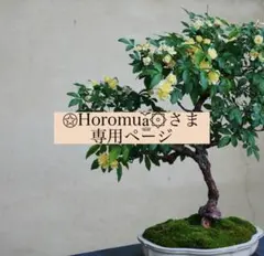 Item thumbnail for item 8e56fb57-5392-436a-8311-592caf3d316b