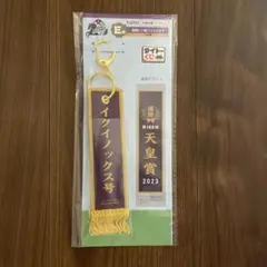 HORSE HEROES E賞 イクイノックス 優勝レイ風フライトタグ