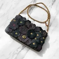 コーチ COACH ショルダーバッグ ディンキー ティーローズ チェーン