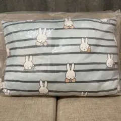 Item thumbnail for item 8d390758-7fca-494f-8050-3829a560d6a3