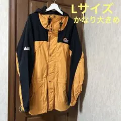 Item thumbnail for item 2af4de4c-5275-4e89-9c6d-5ec31fec23c2