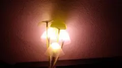 Item thumbnail for item c1e45035-f938-4b1f-ac31-f93e2072c982