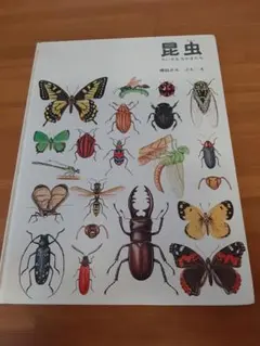 昆虫 ちいさななかまたち 絵本 福音館書店