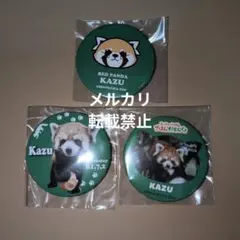 日本平動物園 オリジナル レッサーパンダ★和 カズ 缶バッジ3個