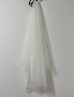 Item thumbnail for item 208c54f8-012c-4f30-b967-a07f30d686d3