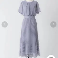 フレアスリーブ プリーツドレス