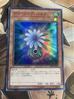 グローアップバルブ　スーパー