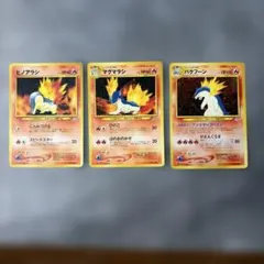 旧裏】バクフーン ☆ プレミアムファイル PROMO 3枚セット 進化ライン