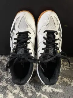 Item thumbnail for item b31f6c75-450e-4cc1-8aa9-d73625aac4c5