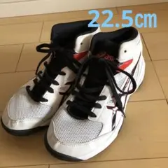 Item thumbnail for item f211edb3-c569-4f62-a24c-7380027909c2