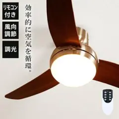 2026年最新】シーリングファンライト アイナの人気アイテム - メルカリ