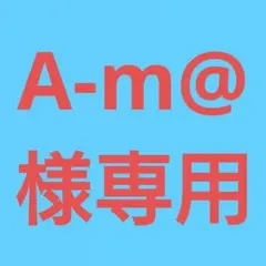 ★(A-m@様専用！)おまとめ購入2点！