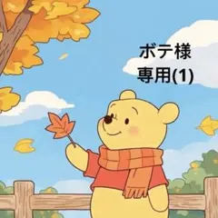 ボテ様 リクエスト 7点 専用(1)