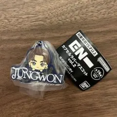 ENHYPENカプセルラバーマスコット vol.2 JUNGWON キーホルダー