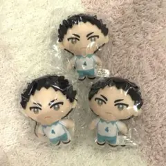 ハイキュー 青葉城西 岩泉一 ぬいぐるみ