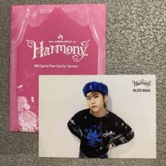 ミセス ランダムフォトカード012