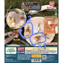 なめこ なめこ栽培キット めじるしアクセサリー ガチャガチャ