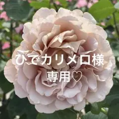 ひでカリメロ様 リクエスト 2点 まとめ商品