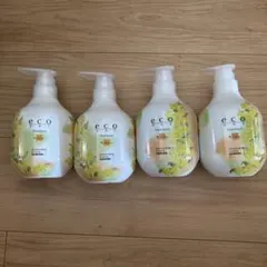 ４点セット！ecoシャンプー　トリートメントパイモアのサムネイル