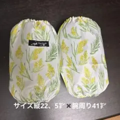 Item thumbnail for item 7ddb2d4c-6ecd-4723-b3ff-a9111e76a5c5