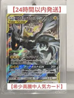2026年最新】ピカチュウ&ゼクロム srの人気アイテム - メルカリ