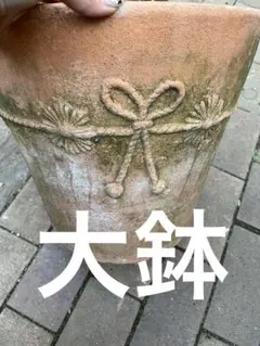 大型鉢　アンティークな雰囲気　苔　テラコッタ鉢　ガーデン　ガーデニング