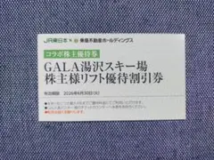 GALA湯沢スキー場リフト優待割引券　東急不動産HD株主優待JR東日本コラボ