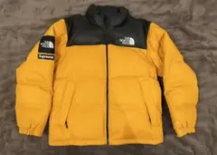 THE NORTH FACE x supreme レザーダウン